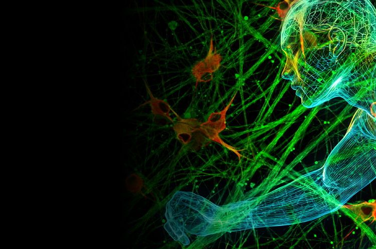 Validating Next-Gen Therapeutics