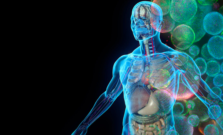3D Biology in Human