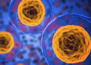 Cell Health: Viability, Proliferation, Cytotoxicity, and Cellular Function