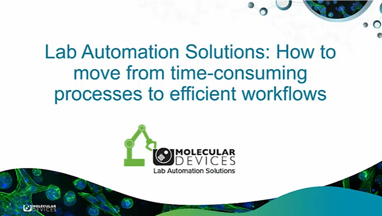 How to move from time-consuming processes to efficient workflows with lab automation solutions