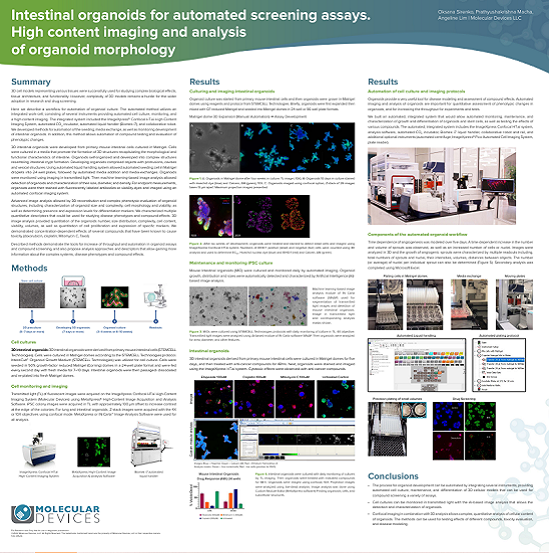 Intestinal organoids for automated screening assays. High content imaging and analysis of organoid morphology