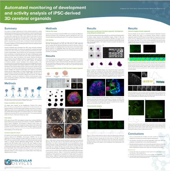 Automated monitoring of development and activity analysis of iPSC-derived 3D cerebral organoids