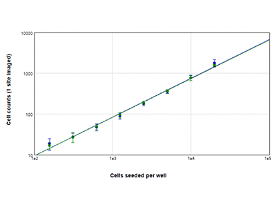 U937 cells were seeded at densities ranging from 156 to 20,000 cells per well, and nuclei were stained using EarlyTox™ Live Green dye. Images were acquired from 1 site per well. Cells in each image were then counted by using either the StainFree method (blue plot) or by counting green-fluorescent nuclei (green plot)