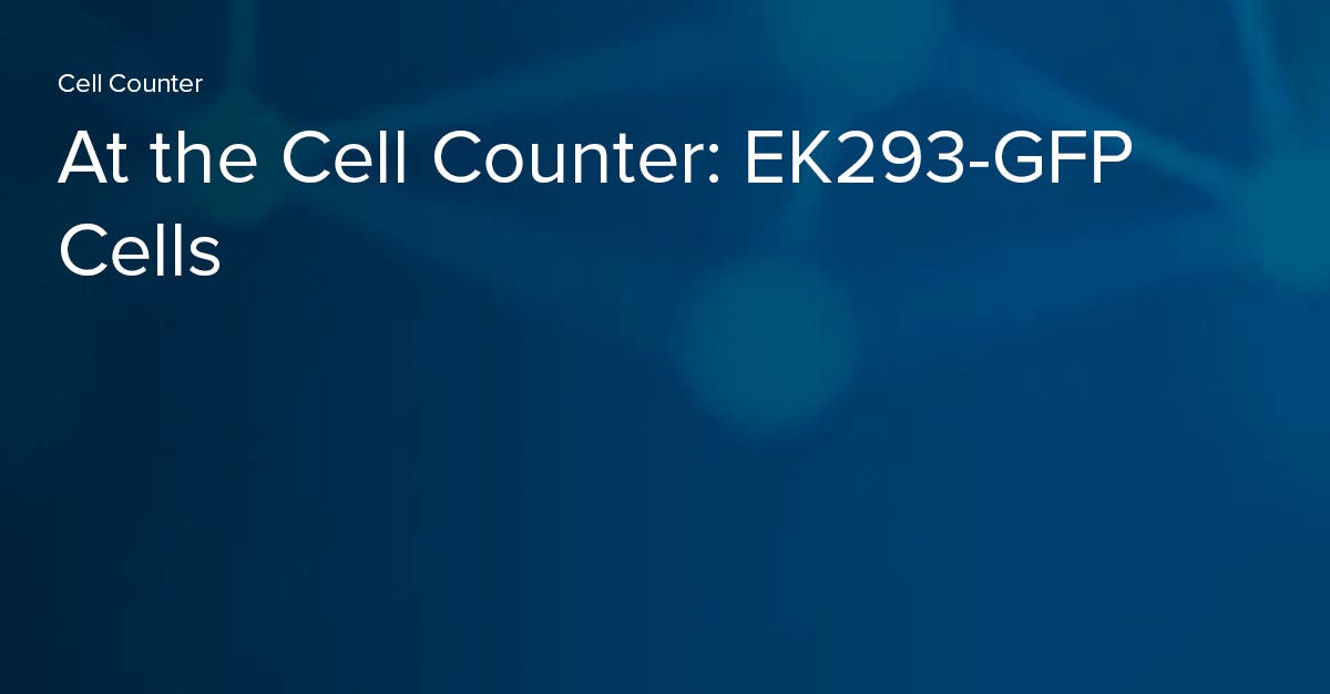 HEK293, HEK293GFP Cells, HEK Cells