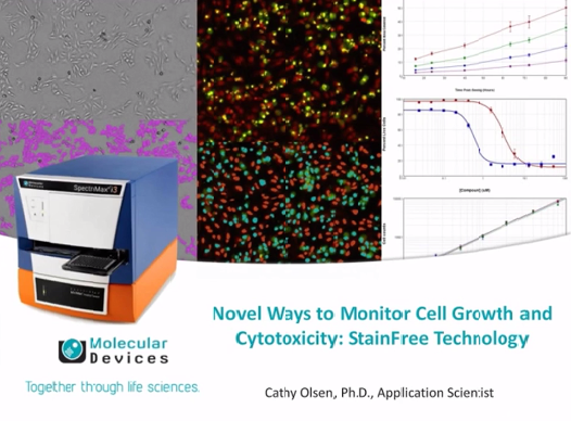 Novel Ways to Monitor Cell Growth and Cytotoxicity: StainFree Technology