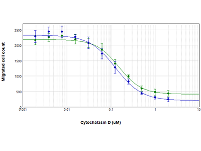 Quantifying cell migration