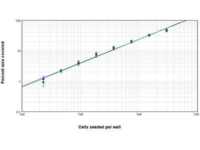 StainFree vs. fluorescent analysis of % covered area