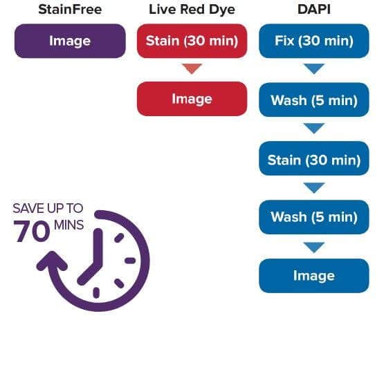 Comparison Cell Analysis Workflow