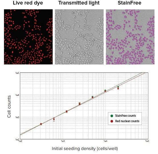 Count Cell With MiniMax Cytometer