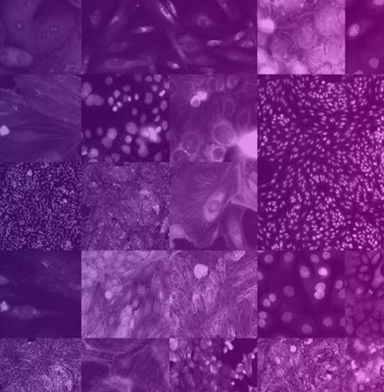 COVID-19 research