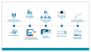 Antigen / Immunogen discovery workflow