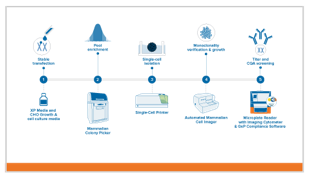 Stable Cell Line Workflow