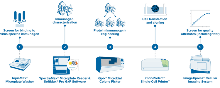 Antigen / immunogen discovery workflow