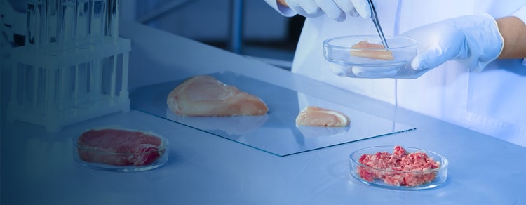 Cell Cultured Meat