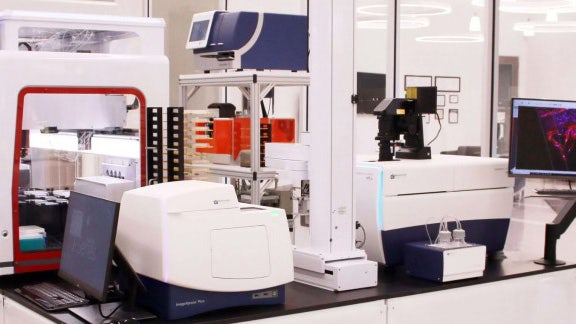 Lab Automation 101: Inside Access From Our Subject Matter Expert
