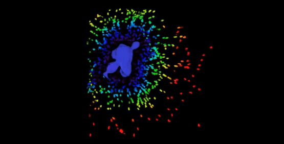 3D Live Cell Assays