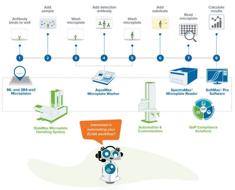 ELISA Assay Workflow