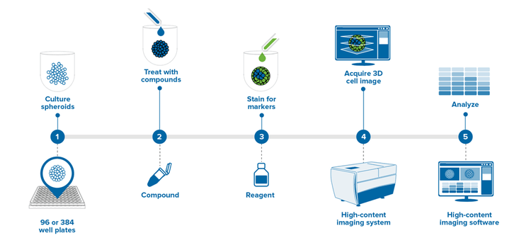 3d Cell Application And Analysis Workflow