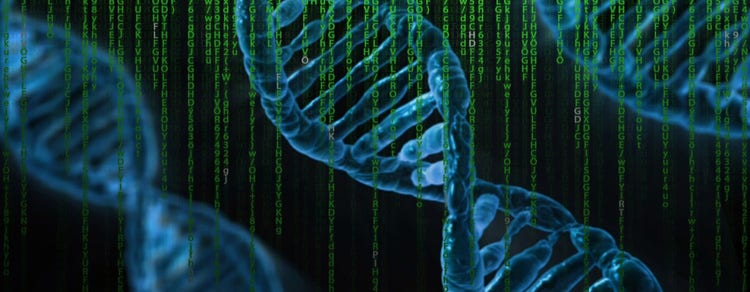 Nucleic Acid (DNA/RNA) Detection