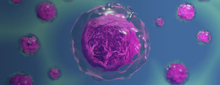 Monoclonality therapeutic cell lines