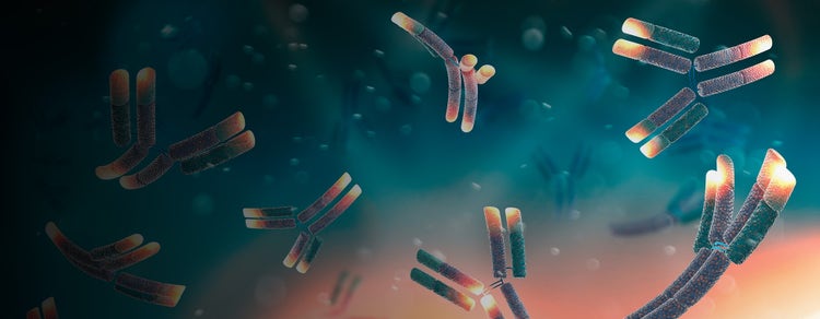 Monoclonal Antibody Production