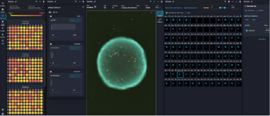 Cell Journey across Multiple Timepoints and Plates