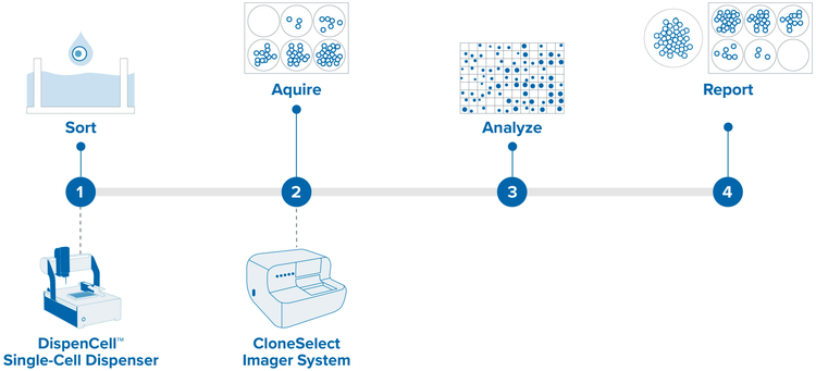 High assurance monoclonality for cell line development