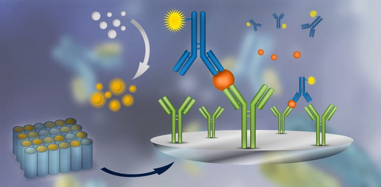 Enzyme-Linked Immunosorbent Assay (ELISA)