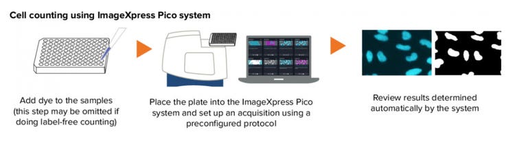 Automated cell imaging