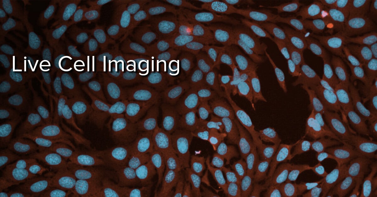 Live Cell Imaging, Live Cell Applications, Time Biology Diagrams