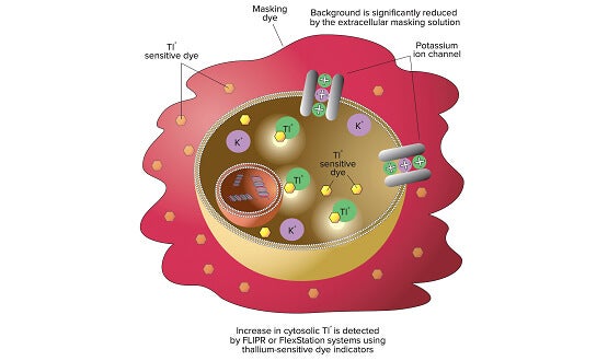 Flipr Potassium Assay Kit Principle