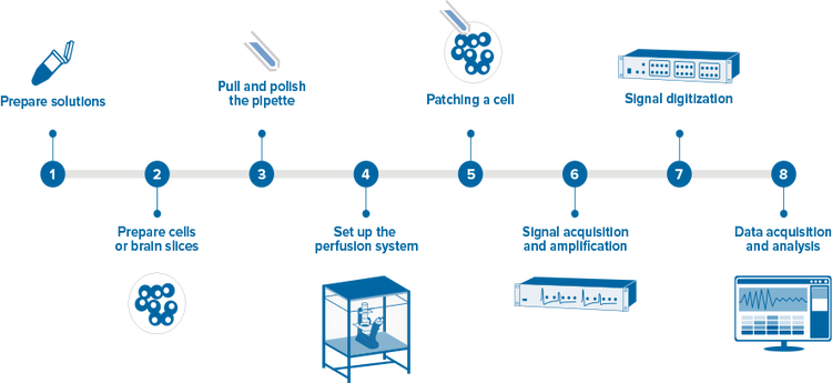 Patch-clamp workflow using Axon Instruments