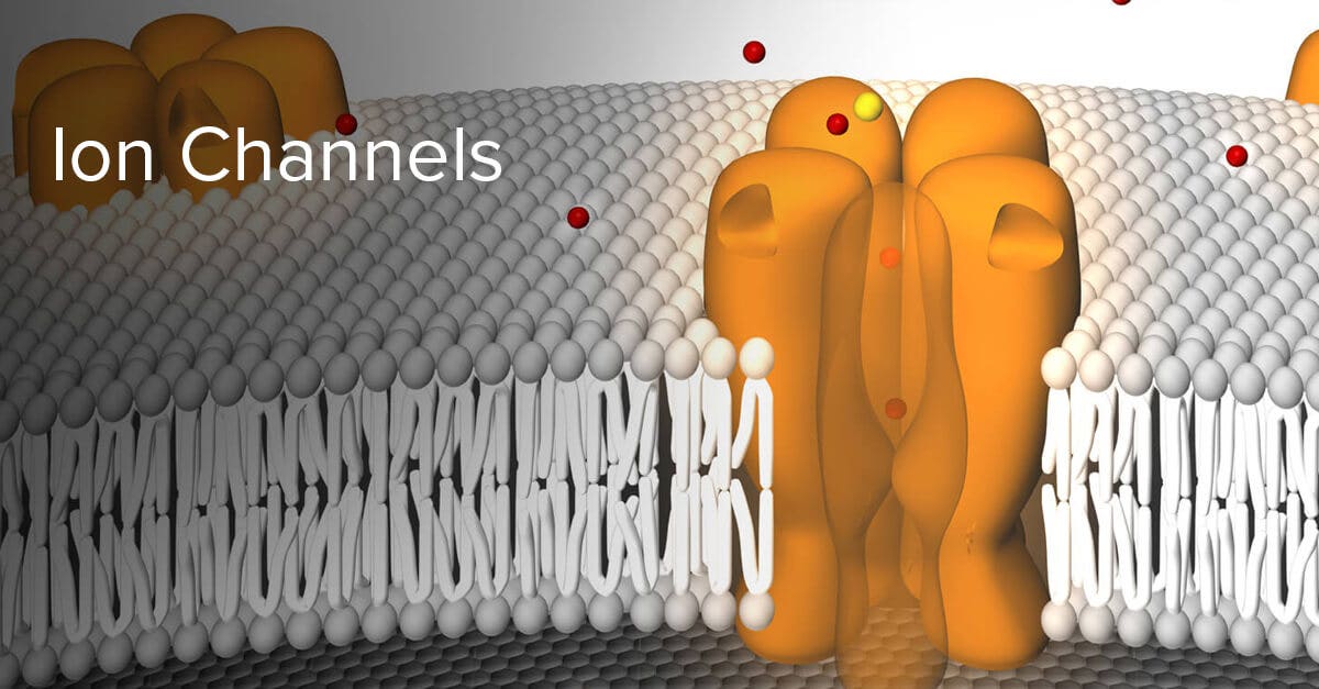 What are Ion Channels, Membrane Potential