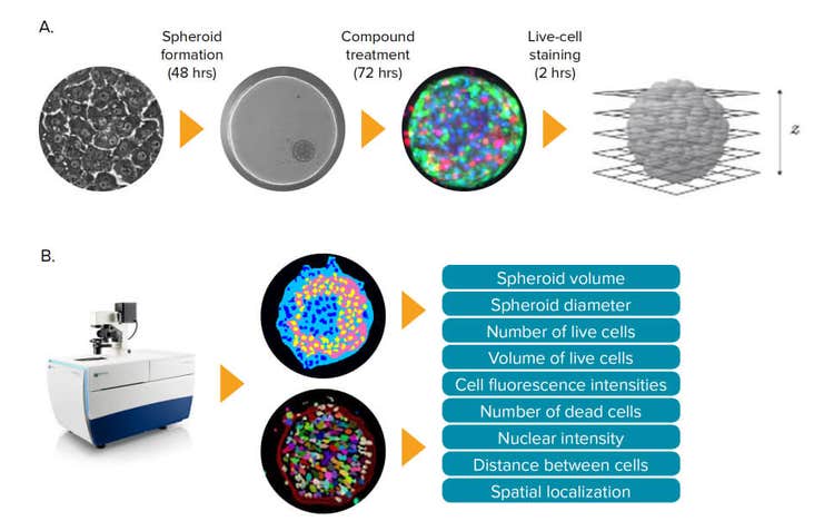 Stem cell imaging – High-content screening techniques and tools