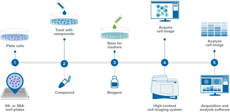 Cellular Analysis workflow