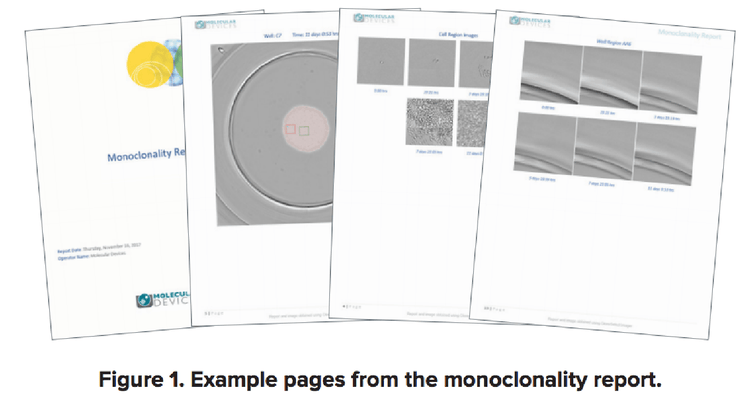Example pages from monoclonality report