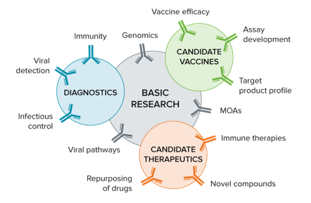 Developing Potential therapies for COVID-19