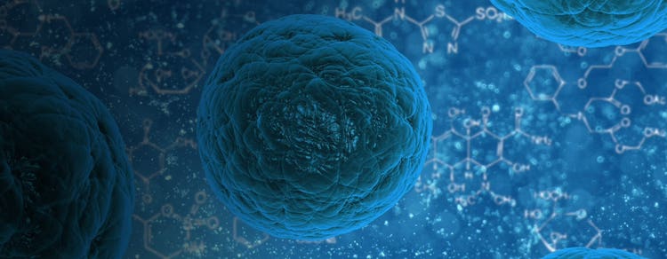 Microbiology and Contaminant Monitoring