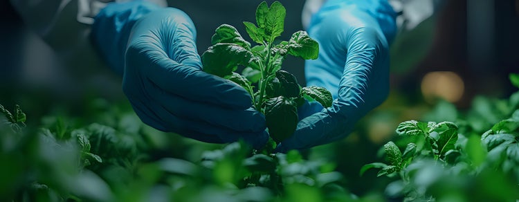 Agricultural Biotechnology