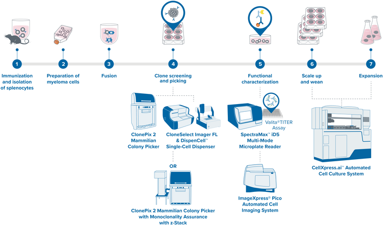 Workflow solution for mAb production