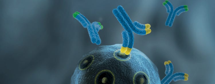 Monoclonal Antibodies (mAbs)