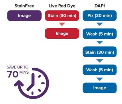 Stainfree cell detection technology