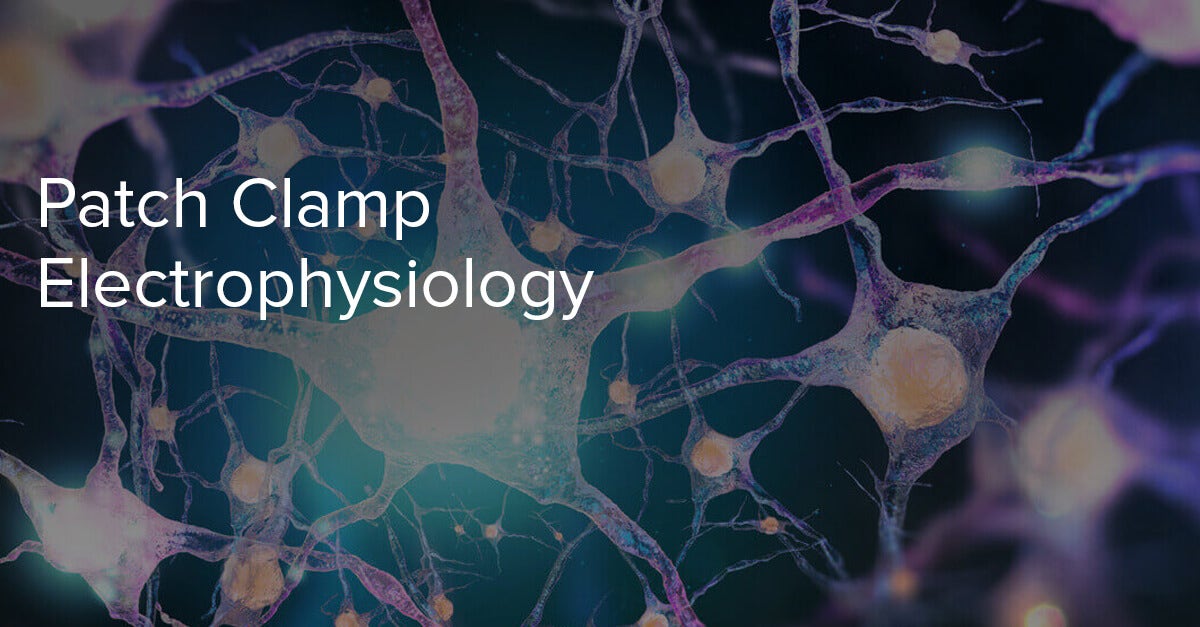 Patch Clamp Electrophysiology, Action Potential, Patchclamp Technique