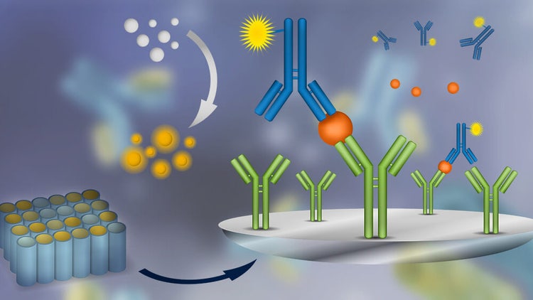 ELISA (enzyme-linked immunosorbent assay)