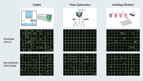 Cloning Methods vs. CloneSelect Single-Cell Printer f.sight using CHO Cell Lines used for Monoclonal Antibody