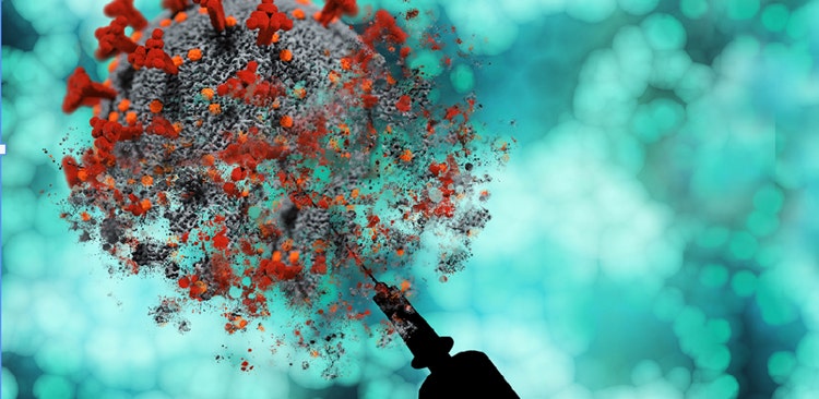 COVID-19: Diagnostics, Vaccines, and Therapeutic Antibody Development