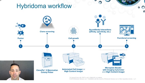 Hybridoma Workflow | Molecular Devices