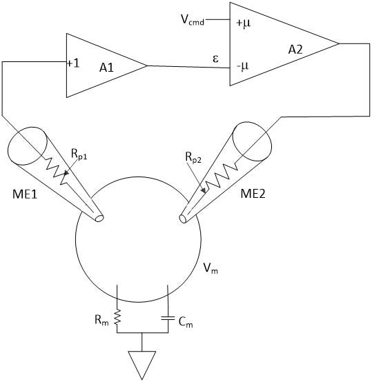 What is the two electrode voltageclamp (TEVC) method?