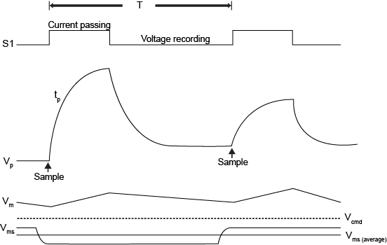 Discontinuous single electrode voltage-clamp timing wave