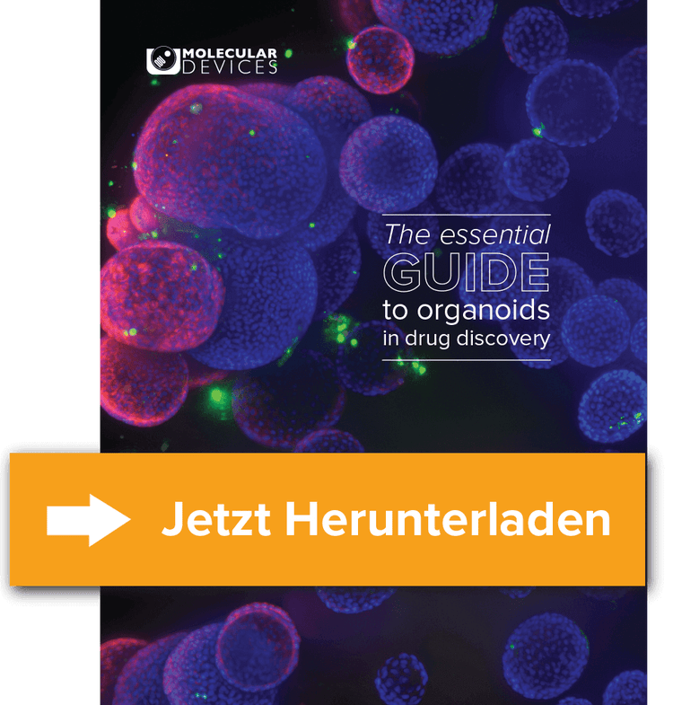 Der essenzielle Leitfaden für Organoide